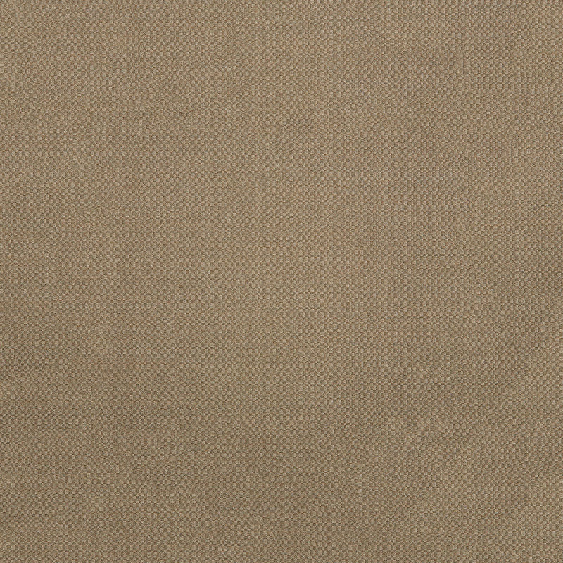 Sunbrella Action Taupe Fabric