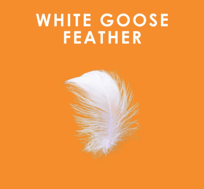 White Goose Feather Duvet
