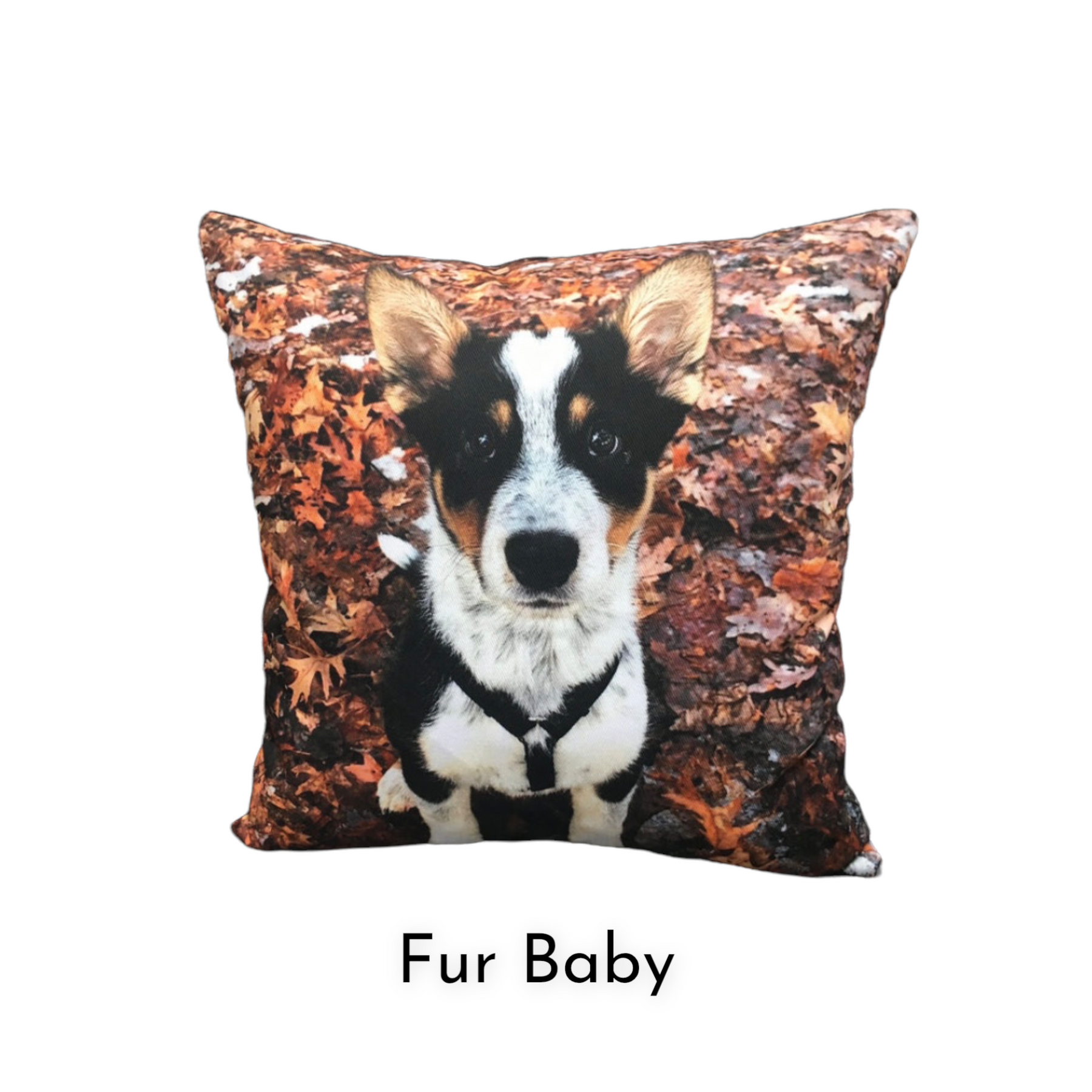 Corgi throw pillow hot sale